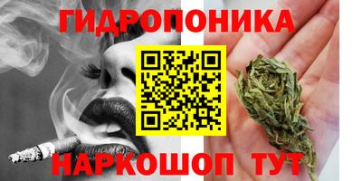 ешки Гусев